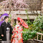 京都祇園にて桜和装ロケーション前撮り